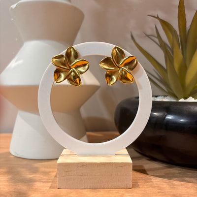 Boucles d'oreilles (à clips)